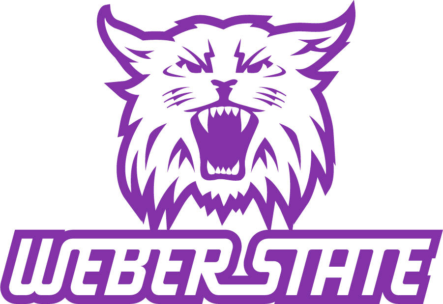 Weber State Wildcats 2008-2012 Secondary Logo v3 iron on transfers for T-shirts
